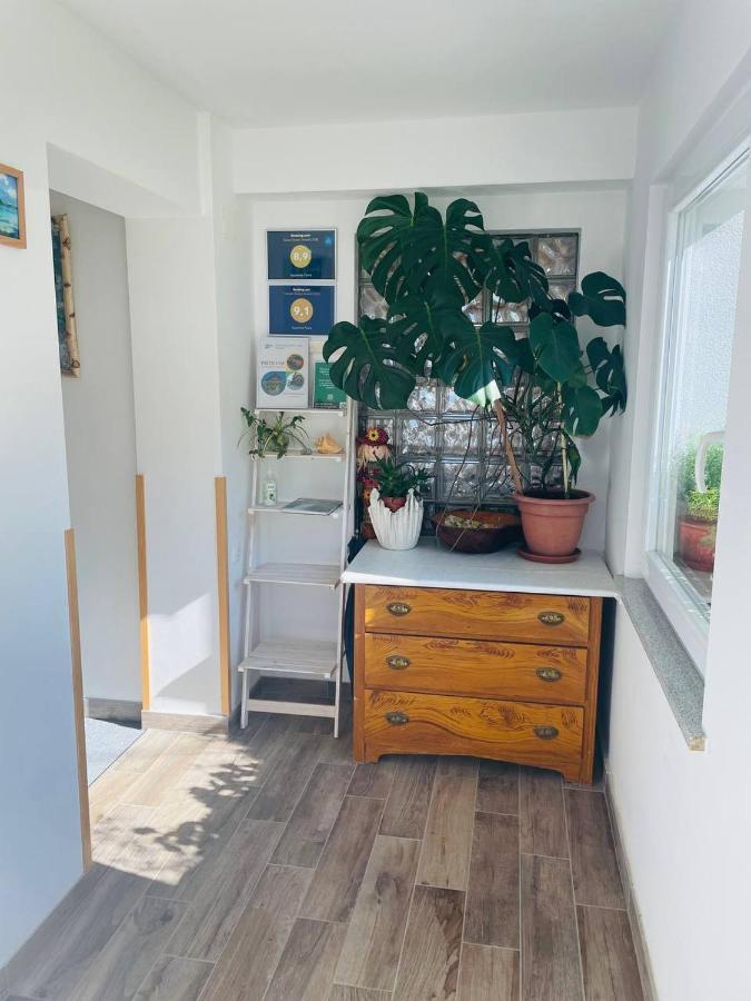Apartma Pavla Spodnje Gorje Exteriör bild